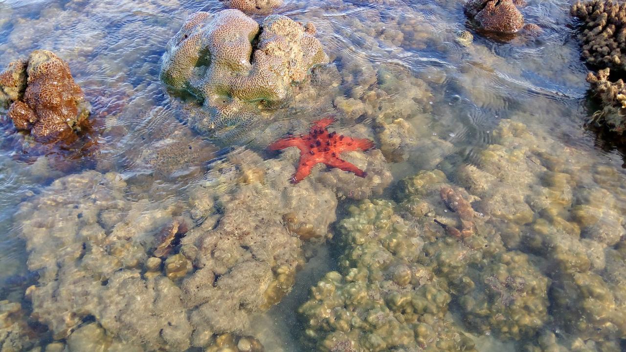 班柯木 科穆旅舍旅舍 外观 照片