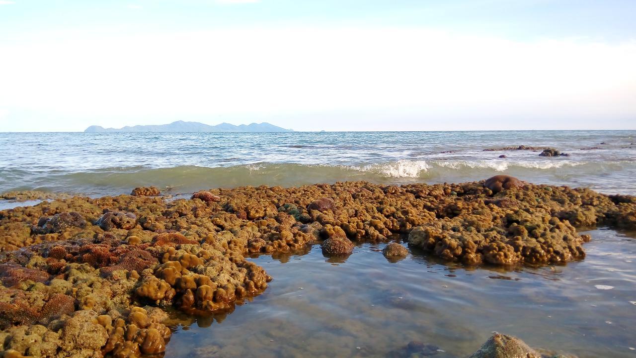 班柯木 科穆旅舍旅舍 外观 照片